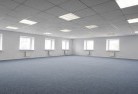 Gingkinskylight-replacements-2.jpg; ?>