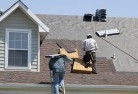 Gingkinskylights-2.jpg; ?>