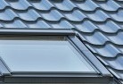 Gingkinskylights-4.jpg; ?>